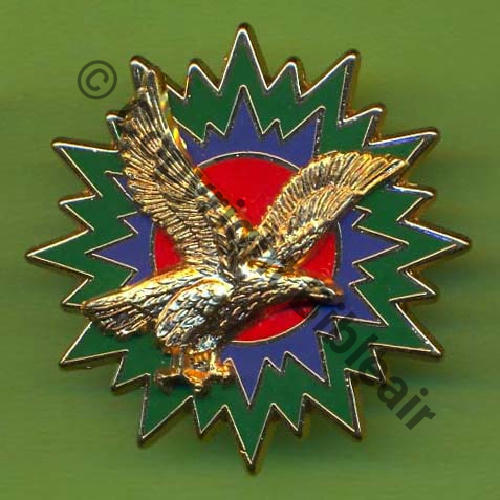 A1041 EM 1erRA & FATAC METZ  DrNMV Griffes et butees Dos lisse irreg 37mm AIGLE DORE Src.Y.GENTY 